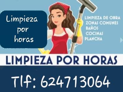 Illescas Empresas de limpieza y limpiadores baratos y con ofertas en Toledo  Provincia | Milanuncios