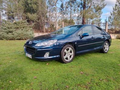 Peugeot 407 de segunda mano y ocasión en Ourense Provincia | Milanuncios