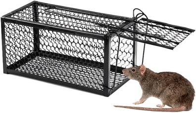 Jaula Trampa para Ratones Sin Muerte