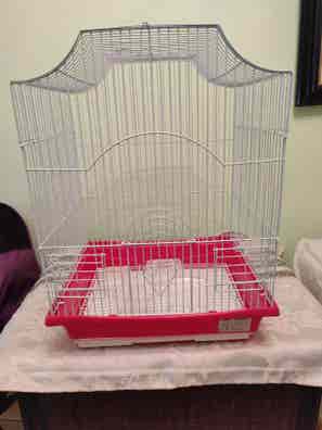 Jaulas grandes pajaros Mascotas en adopción y de mascota de segunda mano baratos | Milanuncios