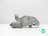 Milanuncios - MOTOR CHEVROLET spark