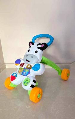 Correpasillos de segunda mano en Canarias Milanuncios