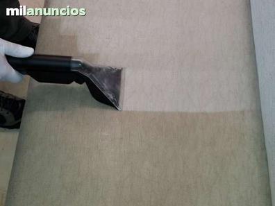 Limpieza y conservación de sofás, moquetas y alfombras