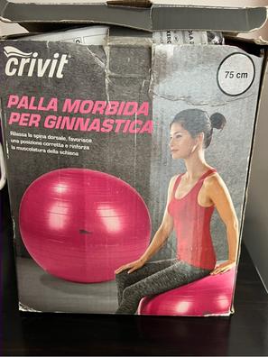 Pelota De Yoga 45 Cm Pilates Fitball Suiza + Inflador