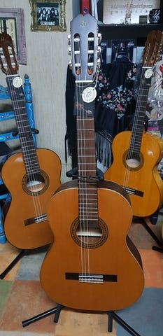 - Guitarra ,lote accesorios y envio