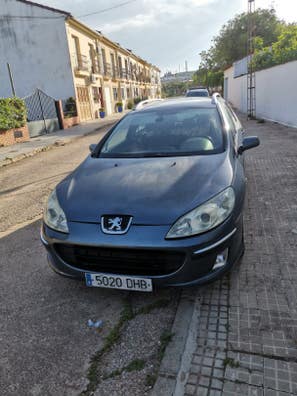 407 sw de segunda mano en Baleares Provincia | Milanuncios