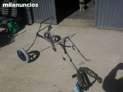 carro para perros con problemas en patas Milanuncios