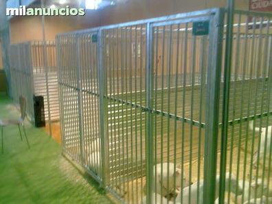 Jaulas para Perros MODULARES · Boxes y perreras a medida 