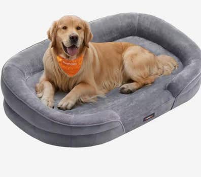 Cama perro de segunda mano en Madrid Provincia Milanuncios