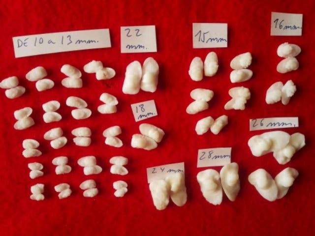 Milanuncios - de corvina