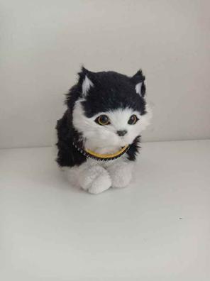 Gatos de segunda mano Milanuncios