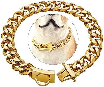 perros. Anuncios comprar y vender de segunda mano | Milanuncios