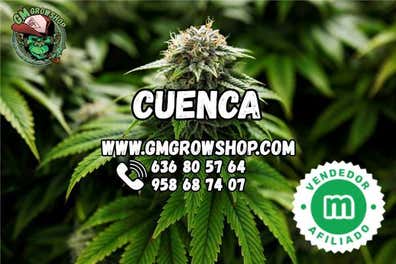 Semillas de segunda mano en Barcelona Provincia Milanuncios