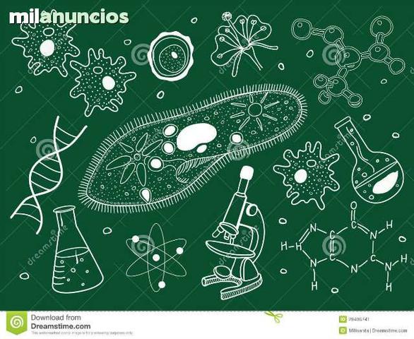 Milanuncios - CLASES ONLINE - Bioquímica y fisiología