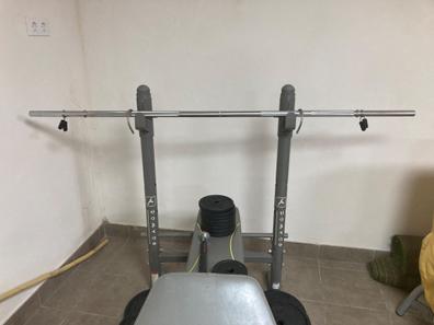 Banco De Musculación Con Pesas Aluminio Gris Y Naranja Orange Gym con  Ofertas en Carrefour