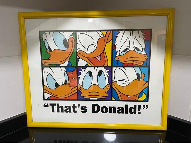 Pato Donald - Cuadro decoración