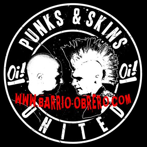 punks and skins logo