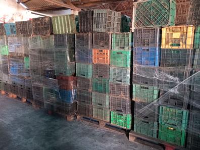 Cajas de plastico para uvas. Anuncios para comprar y vender de mano | Milanuncios
