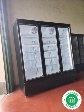 Congelador vertical puerta cristal Mobiliarios para empresas de segunda  mano barato en Almería Provincia