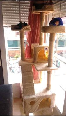 Juguetes Accesorios Para Gatos Segunda Mano Gatos De Segunda Mano