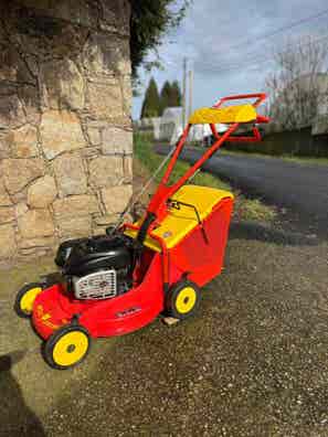 Tondeuse Wolf Pbt 46