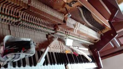 Palacio grava Touhou Kit afinacion piano Pianos de segunda mano baratos | Milanuncios
