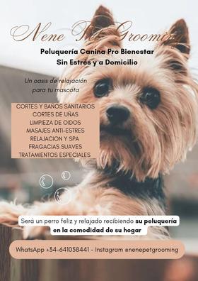 Milanuncios - Peluquería Canina Pro Bienestar Animal