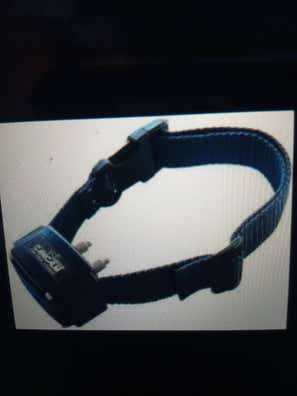 Collar antiladridos Artículos de de segunda baratos en Málaga