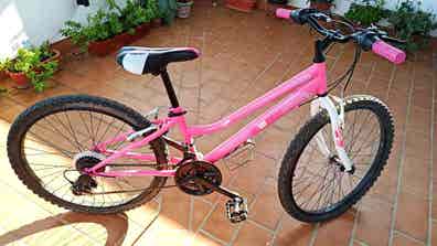 24 pulgadas de segunda mano en Alicante Provincia Milanuncios