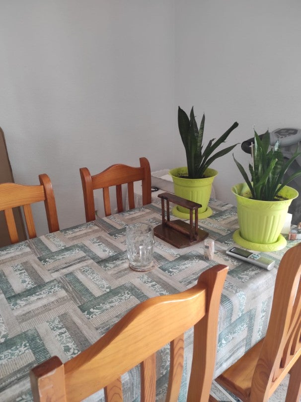 Fotografía del inmueble reportado: 300 €/mes — El Palomar, El Palomar