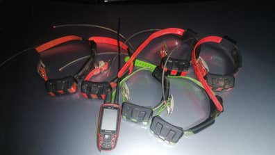 Collares garmin Artículos de caza de segunda mano baratos en Asturias |