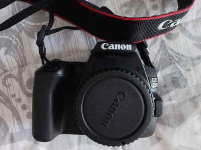 Canon EOS 250D, probamos la nueva réflex para principiantes de Canon