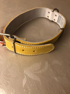 Collar de perro Mascotas en adopción y accesorios de mascota de segunda