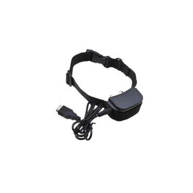 Collar antiladrido valencia. comprar y vender de segunda mano | Milanuncios