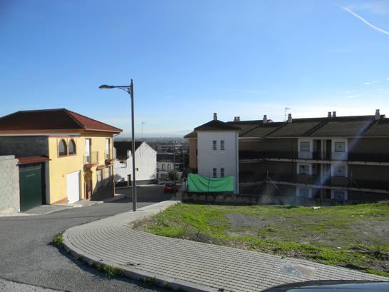 PINOS PUENTE