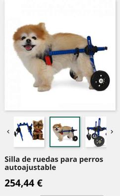 Silla de ruedas para perro, carrito ajustable para mascotas, ruedas para  caminar, para perros discapacitados, rueda de movilidad para rehabilitación
