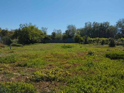 Terreno para caravana Parccelas en venta y alquiler en Madrid