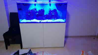 Mueble Muebles de segunda baratos | Milanuncios