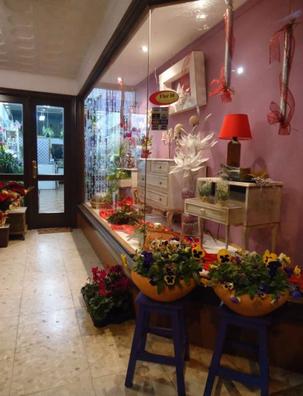 Floristeria Compra, venta y traspasos de negocios en Galicia | Milanuncios