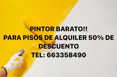 Pintor de casas de madera Pintores baratos y con ofertas en Madrid  Provincia | Milanuncios