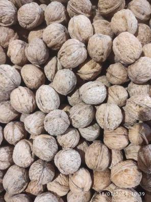 Abre nueces 4 de segunda mano por 7 EUR en Zamora en WALLAPOP