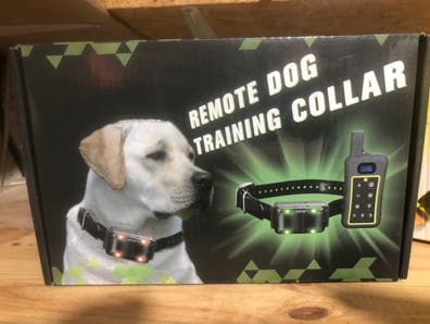 collar Artículos y accesorios de caza | Milanuncios