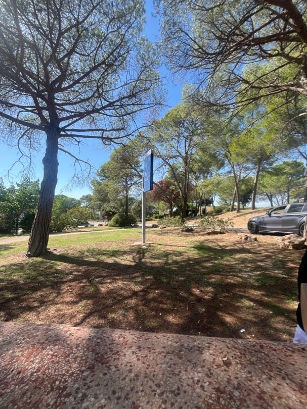 Fotografía del inmueble reportado: 550 €/mes — Castellón de la Plana, Castellón de la Plana
