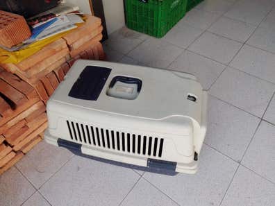 Perros de segunda mano en Castellón Provincia Milanuncios