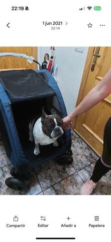 Milanuncios carrito de paseo de perro