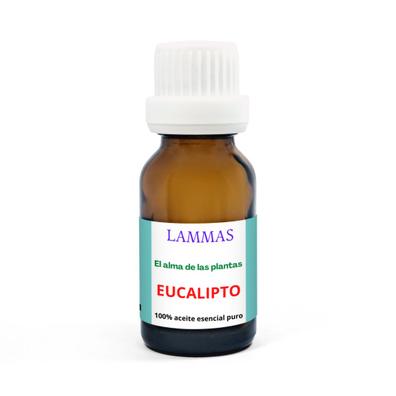 Esencia hidrosoluble Eucaliptus 50 ml - Uso en Flores Secas, Humidificadores  y Quemadores
