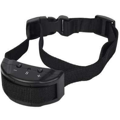 Collar antiladridos y accesorios de mascota de segunda mano baratos en Albacete | Milanuncios