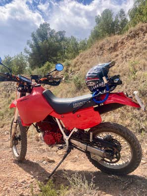 HONDA - XR600R