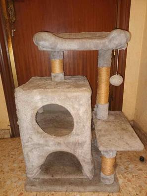 Gatos de segunda mano en Alicante Provincia Milanuncios