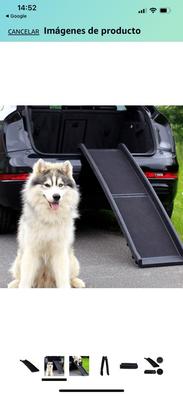 Rampa perro Mascotas en adopción y accesorios de mascota de segunda mano  baratos